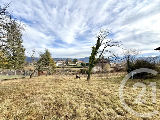 Terrain à vendre BELLEY