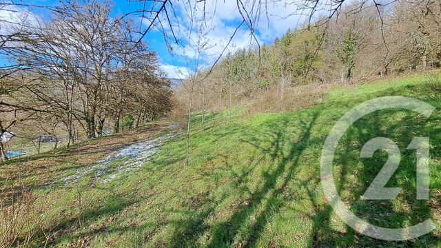 Terrain à vendre BELMONT LUTHEZIEU