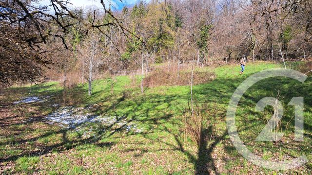 terrain à vendre - 2560.0 m2 - BELMONT LUTHEZIEU - 01 - RHONE-ALPES - Century 21 Le Colombier