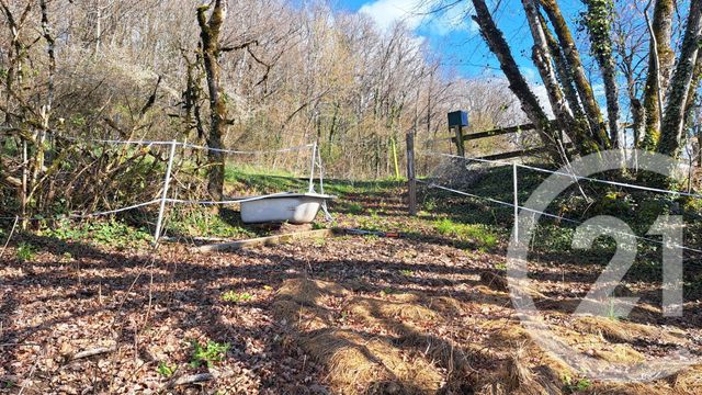 terrain à vendre - 2560.0 m2 - BELMONT LUTHEZIEU - 01 - RHONE-ALPES - Century 21 Le Colombier