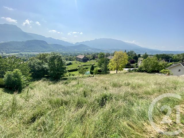 terrain - PARVES ET NATTAGES - 01