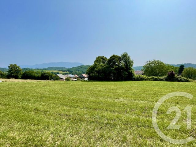 terrain - CUZIEU - 01